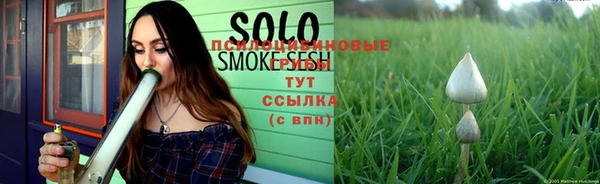 spice Богородицк