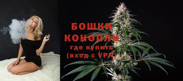 таблы Богданович