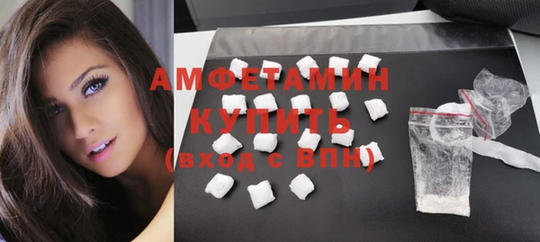 spice Богородицк