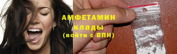 spice Богородицк