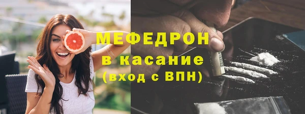 spice Богородицк