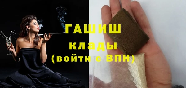 spice Богородицк