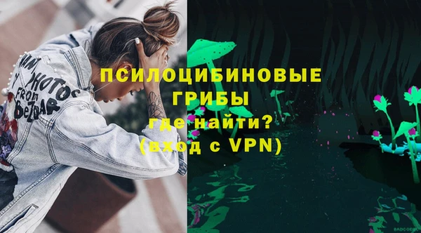 таблы Богданович