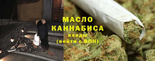 spice Богородицк
