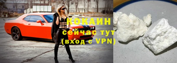 spice Богородицк