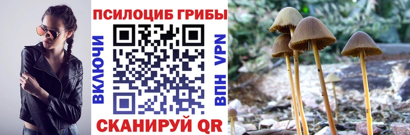 Галлюциногенные грибы прущие грибы  Макаров 
